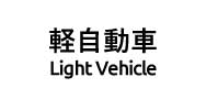 LIGHT VEHICLE